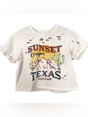 Recycled threads Texas sunset canyon distressed cropped t shirt